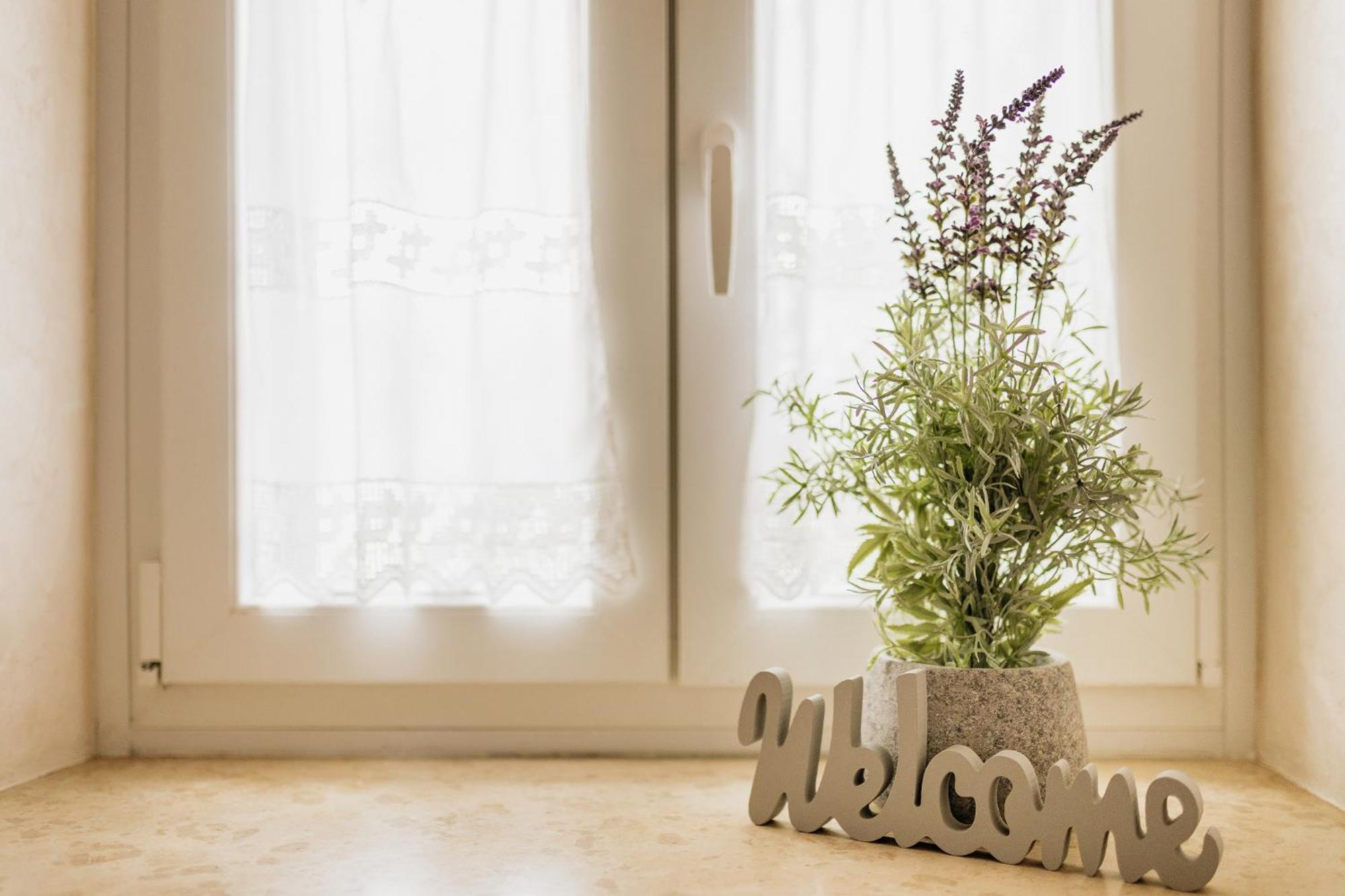 Apartments Mirna Stress Free Babici Exterior foto